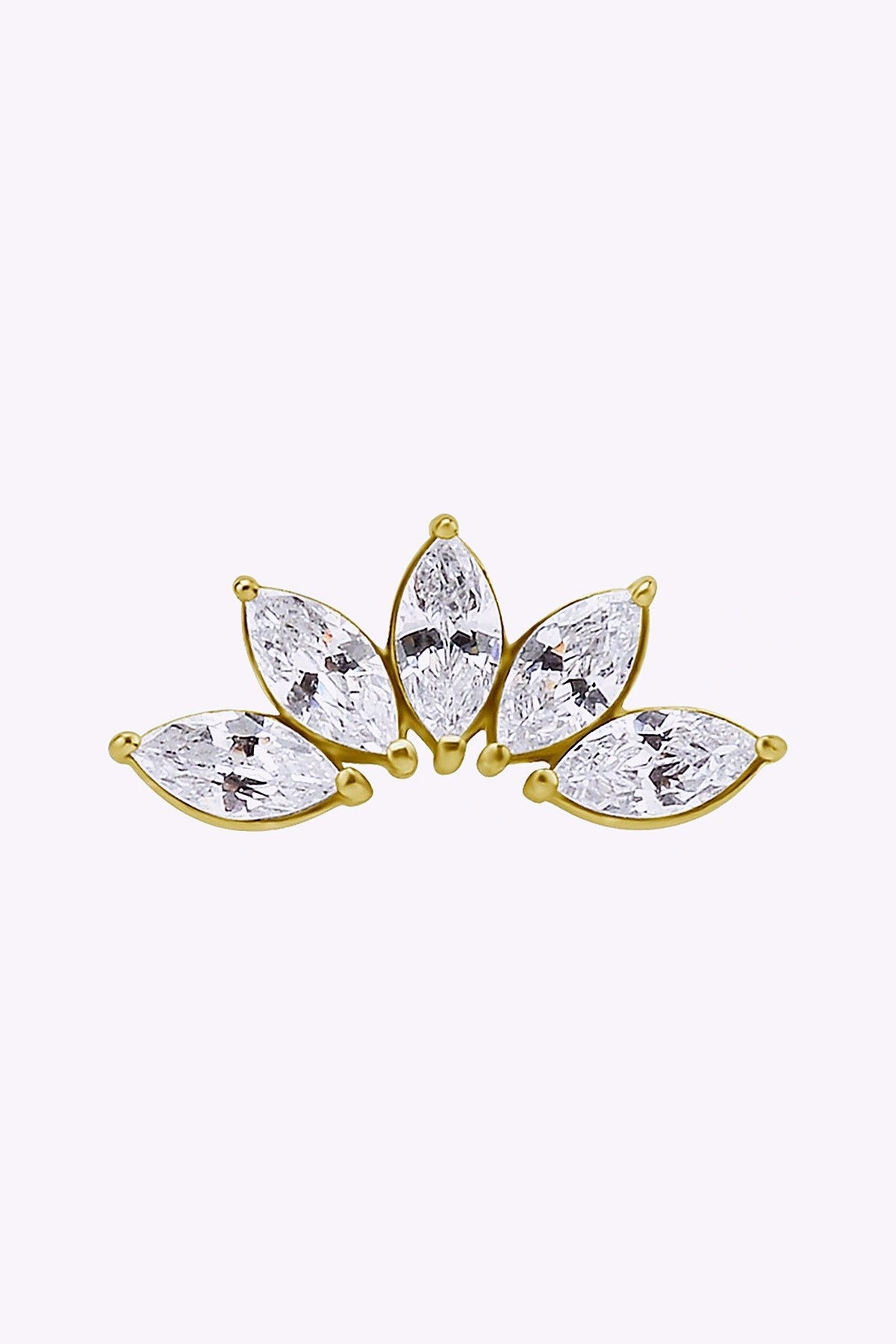 Topp Till Invandigt Gangad Labret 24K Guld Pvd 6