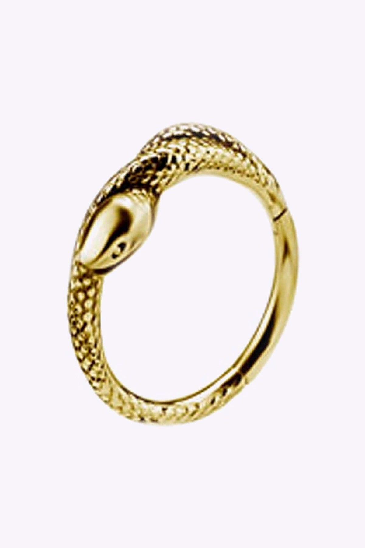 Clicker Till Conch Orm 316L Kirurgstal 24K Guld Pvd 2