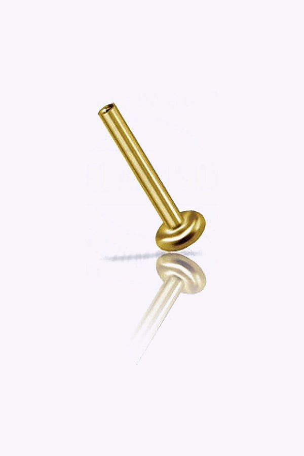 Invandigt Gangad Labret Titan Pvd 18K