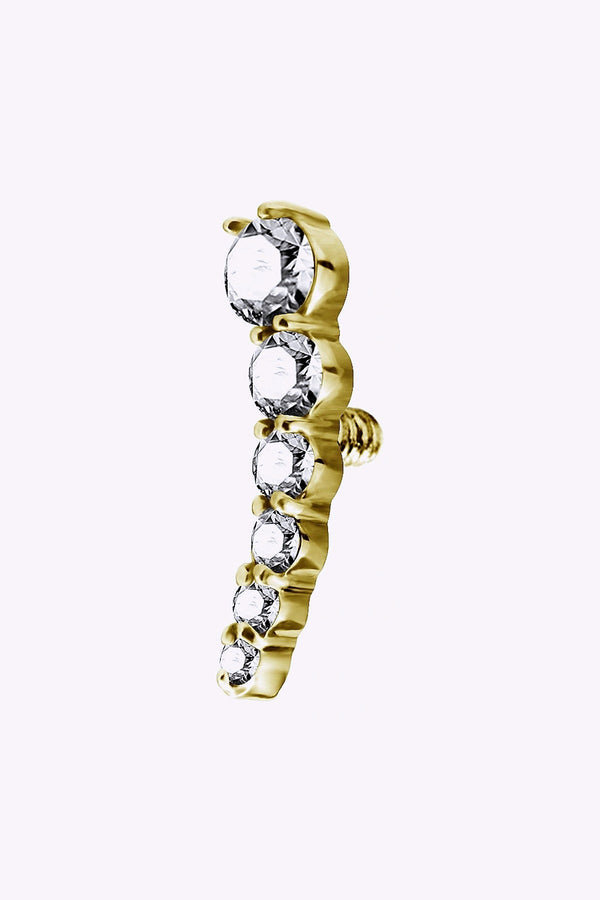 Topp Till Invandigt Gangad Labret 24K Guld Pvd 3