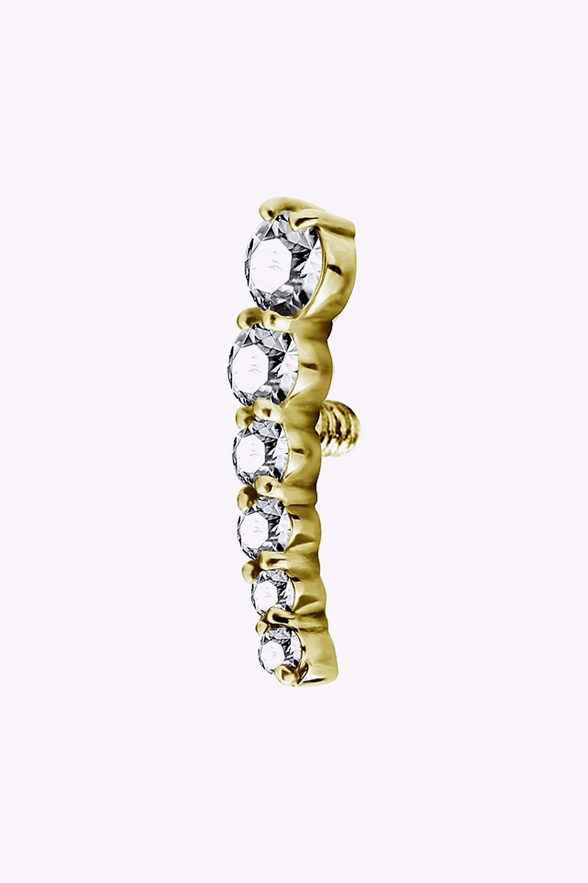 Topp Till Invandigt Gangad Labret 24K Guld Pvd 4