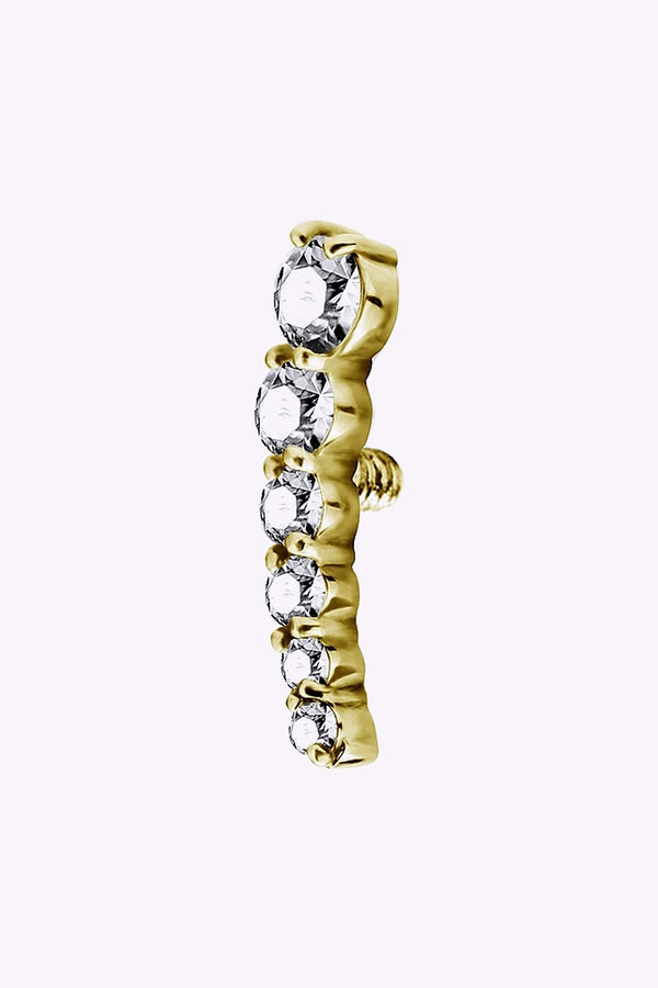Topp Till Invandigt Gangad Labret 24K Guld Pvd 4