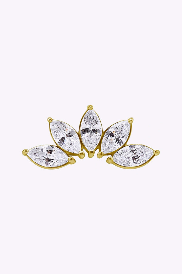 Topp Till Invandigt Gangad Labret 24K Guld Pvd 6