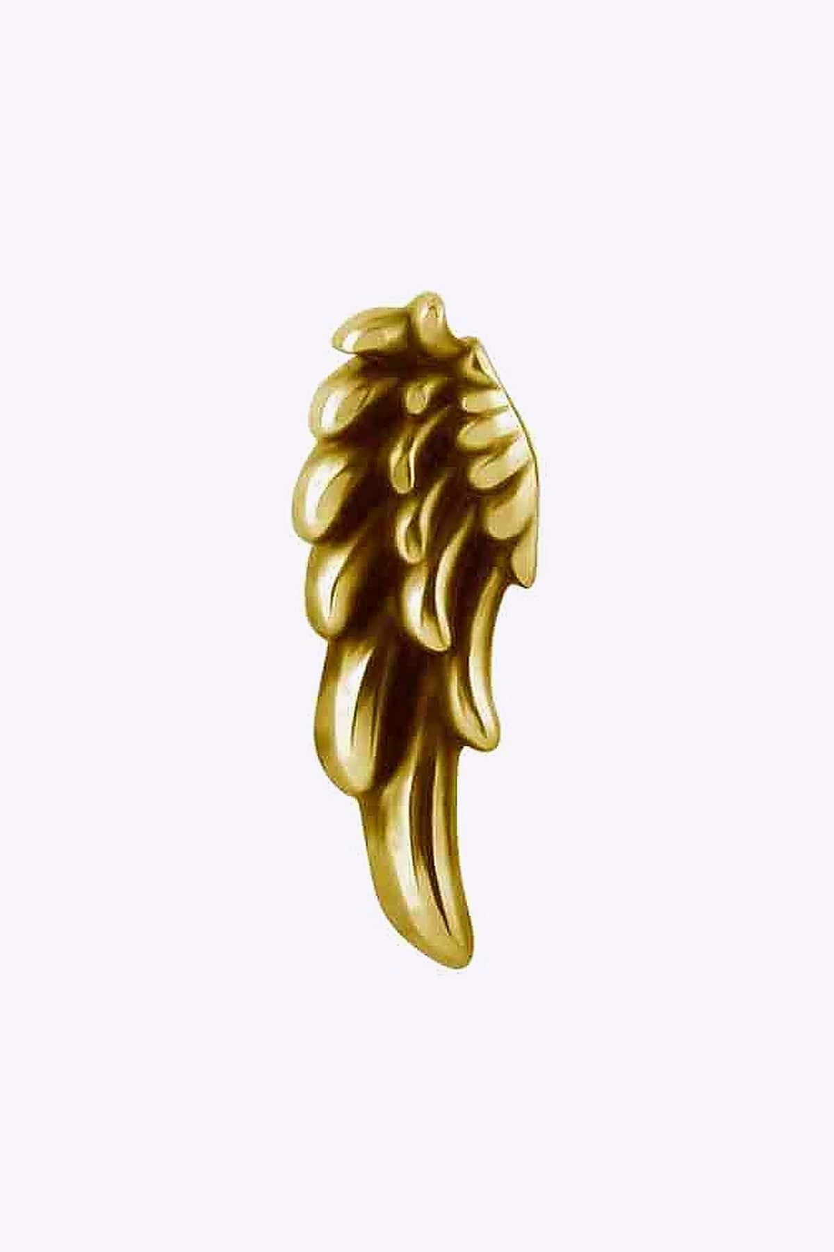 Topp Till Invandigt Gangad Labret Anglavinge 24K Guld Pvd 2