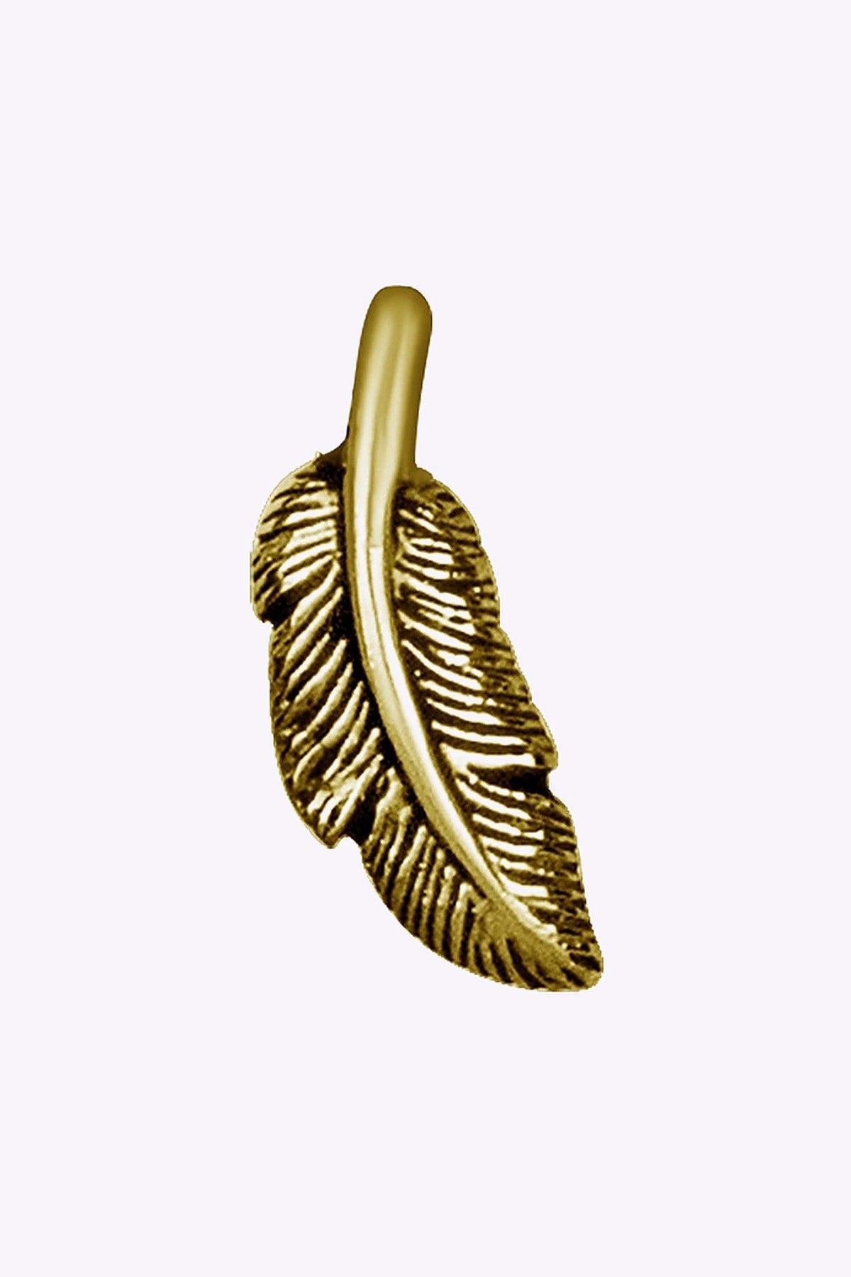 Topp Till Invandigt Gangad Labret Fjader 24K Guld Pvd