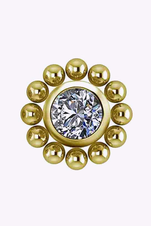 Topp Till Invandigt Gangad Labret Titan Guld Pvd 6